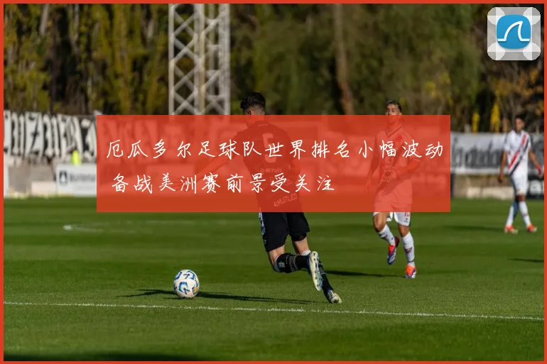 厄瓜多尔足球队世界排名小幅波动 备战美洲赛前景受关注
