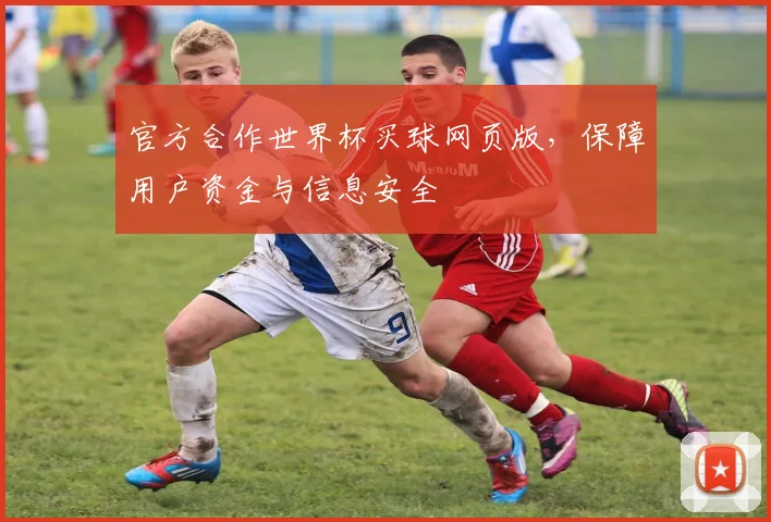 官方合作世界杯买球网页版，保障用户资金与信息安全