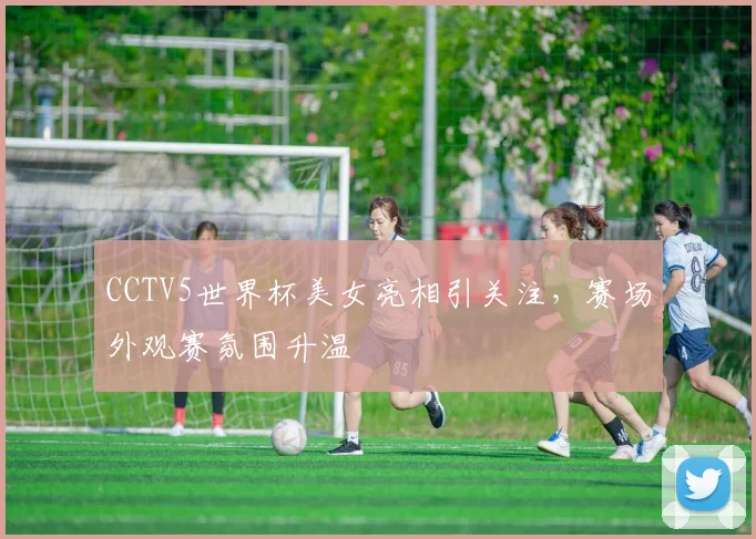 CCTV5世界杯美女亮相引关注，赛场外观赛氛围升温
