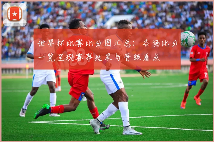 世界杯比赛比分图汇总：各场比分一览呈现赛事结果与晋级看点