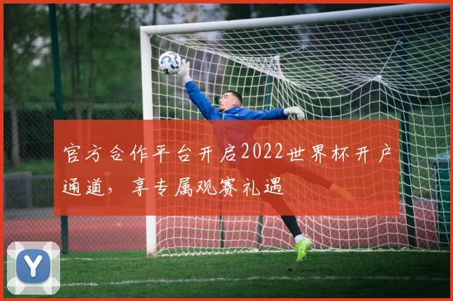 官方合作平台开启2022世界杯开户通道，享专属观赛礼遇