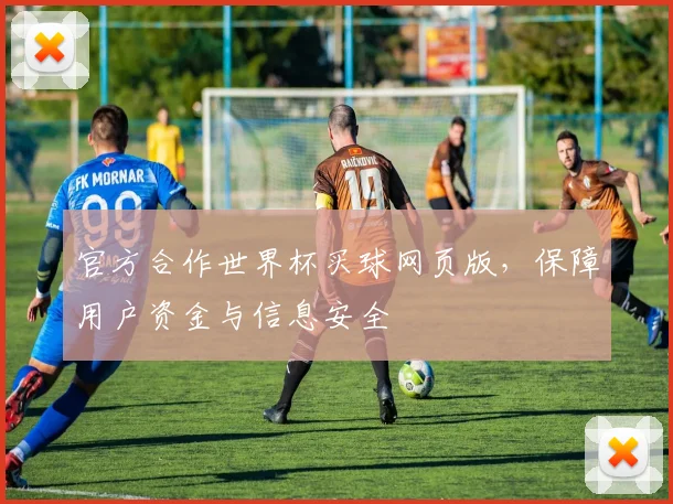 官方合作世界杯买球网页版，保障用户资金与信息安全