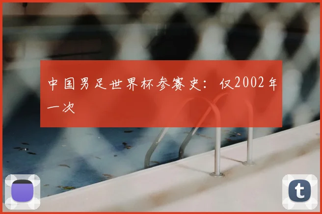 中国男足世界杯参赛史：仅2002年一次