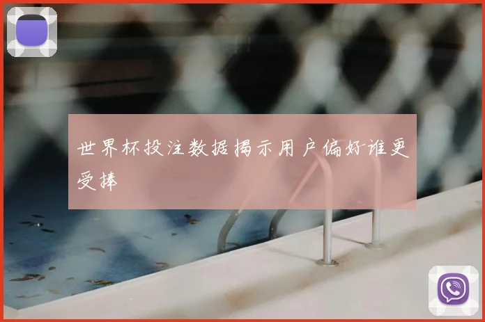 世界杯投注数据揭示用户偏好谁更受捧