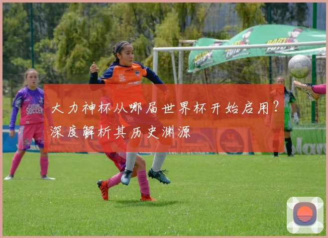 大力神杯从哪届世界杯开始启用？深度解析其历史渊源