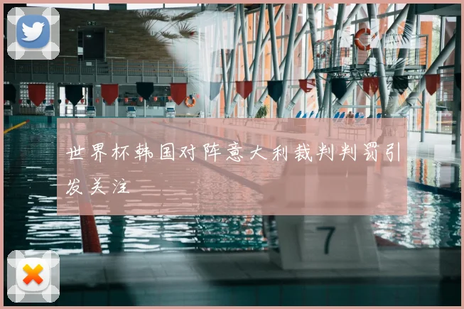 世界杯韩国对阵意大利裁判判罚引发关注