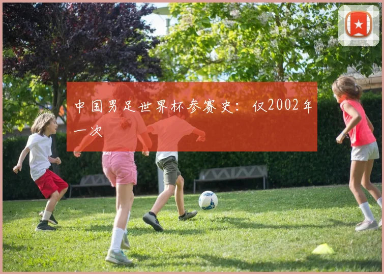 中国男足世界杯参赛史：仅2002年一次