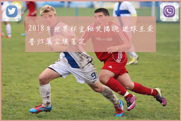 2018年世界杯金靴奖揭晓 进球王荣誉归属尘埃落定